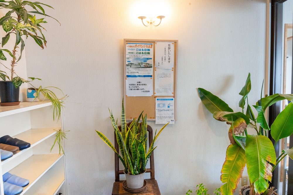 玄関の観葉植物とお知らせの掲示